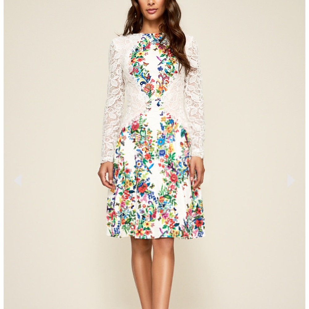 Tadashi Shoji Aine Lace long sleeve Floral dress 🌸🌷